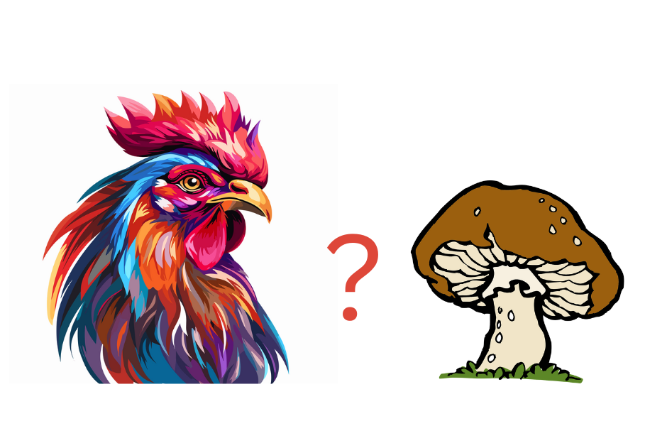 NEWS: What Comes First – the Chicken or the … MUSHROOM?